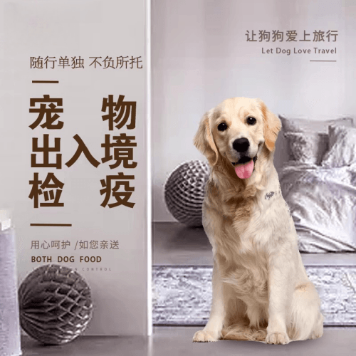 闸北区宠物托运到哥伦比亚猫狗宠物入境规定和