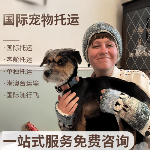 闸北区国际宠物托运到阿根廷宠物入境规定和要