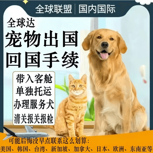闸北区宠物托运到柬埔寨宠物入境规定和要求