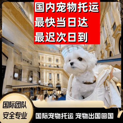 闸北区到澳大利亚（澳洲）宠物入境规定和要求